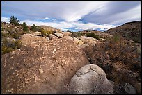 Boulder with densely packed petrogphys in valley, Shooting Gallery. Basin And Range National Monument, Nevada, USA ( color)