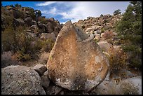 Boulder with petroglyphs, Shooting Gallery. Basin And Range National Monument, Nevada, USA ( color)