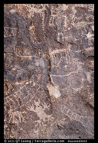 Close-up of petroglyphs, Shooting Gallery. Basin And Range National Monument, Nevada, USA (color)