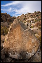 Pointed rock with petroglyphs, Shooting Gallery. Basin And Range National Monument, Nevada, USA ( color)