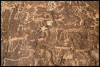 Close-up of densely packed petroglyphs, Shooting Gallery. Basin And Range National Monument, Nevada, USA ( color)