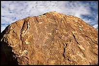 Boulder with densely packed petroglyphs and sky, Shooting Gallery. Basin And Range National Monument, Nevada, USA ( color)