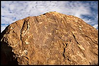 Boulder with densely packed petroglyphs and sky, Shooting Gallery. Basin And Range National Monument, Nevada, USA ( color)