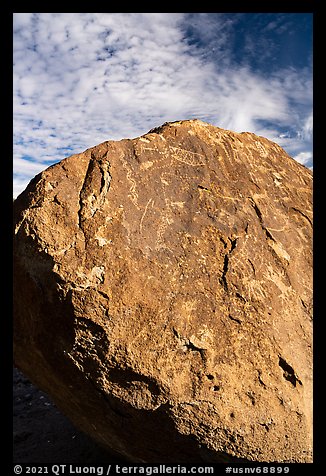Boulder with dense petroglyphs against the sky, Shooting Gallery. Basin And Range National Monument, Nevada, USA (color)