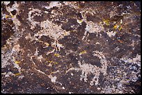 Sheep petroglyphs from seven sheep panel, Shooting Gallery. Basin And Range National Monument, Nevada, USA ( color)