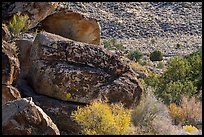 Seven sheep rock art panel, Shooting Gallery. Basin And Range National Monument, Nevada, USA ( color)