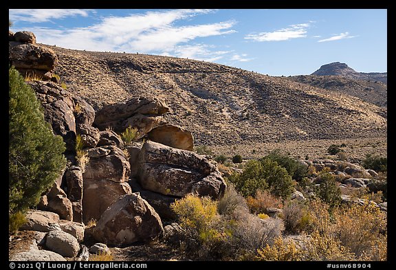 Valley with Seven sheep panel in the distance, Shooting Gallery. Basin And Range National Monument, Nevada, USA (color)