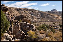 Valley with Seven sheep panel in the distance, Shooting Gallery. Basin And Range National Monument, Nevada, USA ( color)