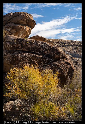 Boulder with Seven sheep panel, Shooting Gallery. Basin And Range National Monument, Nevada, USA (color)