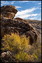 Boulder with Seven sheep panel, Shooting Gallery. Basin And Range National Monument, Nevada, USA ( color)