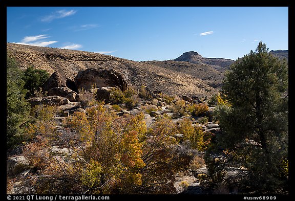 Shooting Gallery petroglyph area. Basin And Range National Monument, Nevada, USA (color)