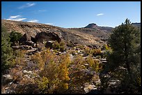 Shooting Gallery petroglyph area. Basin And Range National Monument, Nevada, USA ( color)