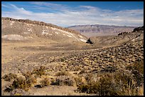 Valley near Badger Mountain. Basin And Range National Monument, Nevada, USA ( color)