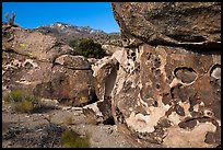 Petroglyphs on Paiute Rocks, Mount Irish Archeological Area. Basin And Range National Monument, Nevada, USA ( color)