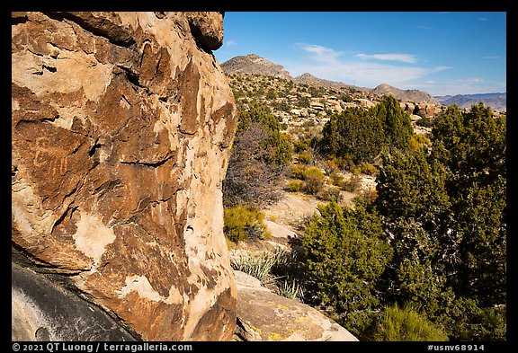 Petroglyphs on Shaman Hill, Mount Irish Archeological Area. Basin And Range National Monument, Nevada, USA (color)