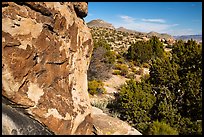 Petroglyphs on Shaman Hill, Mount Irish Archeological Area. Basin And Range National Monument, Nevada, USA ( color)