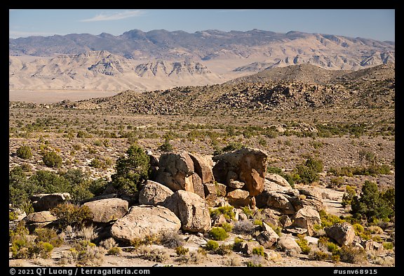 Shaman Knob, Mount Irish Petroglyph Area. Basin And Range National Monument, Nevada, USA (color)