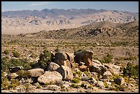Shaman Knob, Mount Irish Petroglyph Area. Basin And Range National Monument, Nevada, USA ( color)