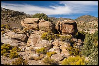 Boulders on Shaman Hill, Mount Irish Archeological Area. Basin And Range National Monument, Nevada, USA ( color)