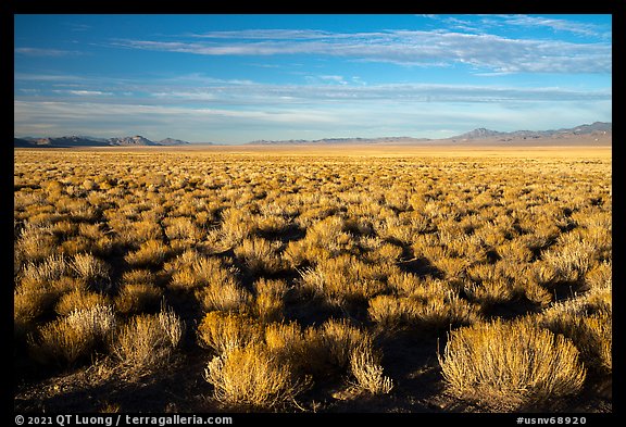 Coal Valley, late afternoon. Basin And Range National Monument, Nevada, USA (color)