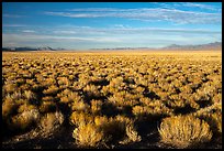 Coal Valley, late afternoon. Basin And Range National Monument, Nevada, USA ( color)