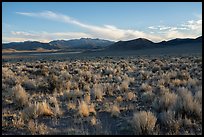 Southern Coal Valley near Murphy Gap, late afternoon. Basin And Range National Monument, Nevada, USA ( color)