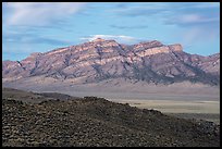 Meeker Peak at dawn. Basin And Range National Monument, Nevada, USA ( color)