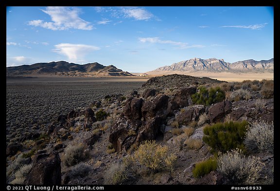 Blooms, ash boulders, and Worthington Mountains. Basin And Range National Monument, Nevada, USA (color)