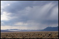 Sagebrush and distant storm, Garden Valley. Basin And Range National Monument, Nevada, USA ( color)