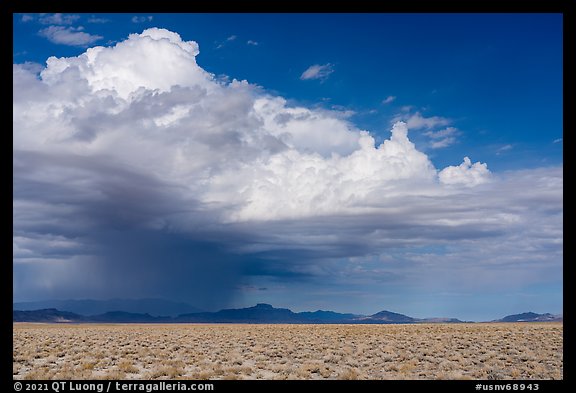 Storm cloud over Golden Gate Range. Basin And Range National Monument, Nevada, USA (color)