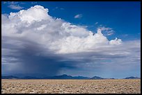 Storm cloud over Golden Gate Range. Basin And Range National Monument, Nevada, USA ( color)