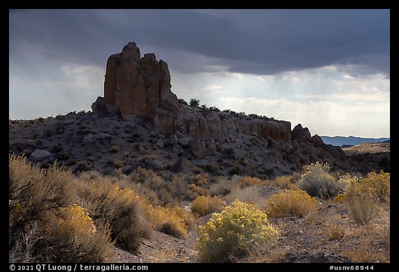 Blooms and rock pinnacle under stormy sky, Seaman Range. Basin And Range National Monument, Nevada, USA (color)