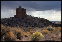Blooms and rock pinnacle under stormy sky, Seaman Range. Basin And Range National Monument, Nevada, USA ( color)