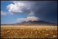 Clearing stom clouds over Seaman Range. Basin And Range National Monument, Nevada, USA ( color)