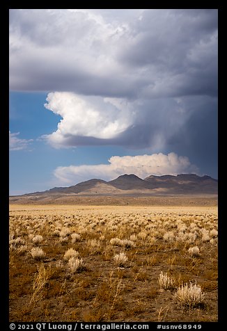 Clearing stom clouds over mountains, Seaman Range. Basin And Range National Monument, Nevada, USA (color)