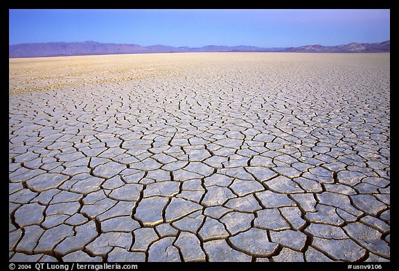 Playa with mud cracks, dawn, Black Rock Desert. Nevada, USA (color)