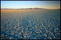 Ancient lakebed with cracked dried mud, sunrise, Black Rock Desert. Nevada, USA ( color)