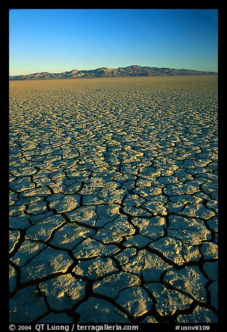 Dry Lakebed  with cracked dried mud, sunrise, Black Rock Desert. Nevada, USA (color)