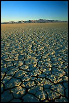 Dry Lakebed  with cracked dried mud, sunrise, Black Rock Desert. Nevada, USA ( color)