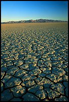 Dry Lakebed  with cracked dried mud, sunrise, Black Rock Desert. Nevada, USA (color)