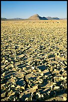Playa with peeling dried mud, early morning, Black Rock Desert. Nevada, USA (color)