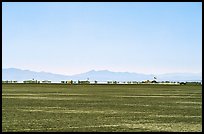 Black Rock City, a temporary community, Black Rock Desert. Nevada, USA (color)