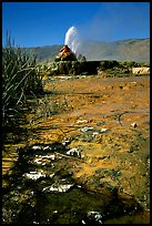 Fly Geyser, Black Rock Desert. Nevada, USA (color)