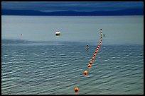 Buoy line, South Lake Tahoe, California. USA