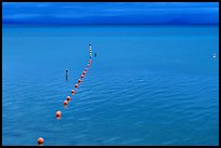 Buoy line and blue lake at dusk, South Lake Tahoe, California. USA ( color)