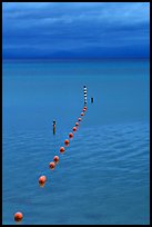 Orange Buoy line, blue hour, South Lake Tahoe, California. USA (color)