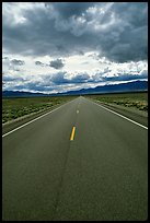 Road converging to the horizon. Nevada, USA