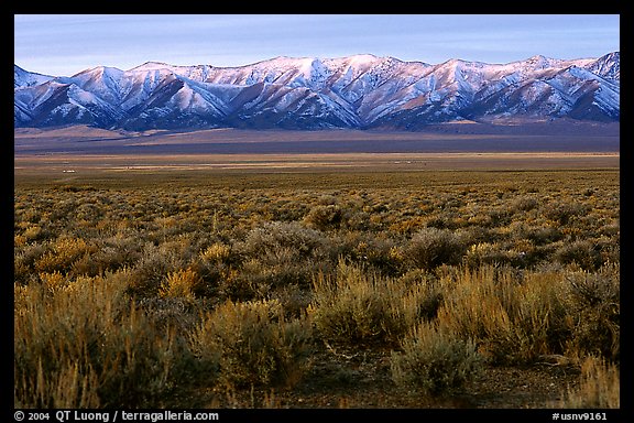 Sagebrush and mountain range. Nevada, USA (color)