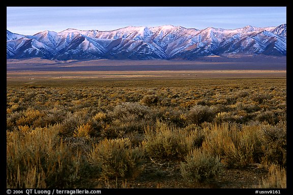 Sagebrush and mountain range. Nevada, USA