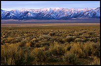 Sagebrush and mountain range. Nevada, USA (color)